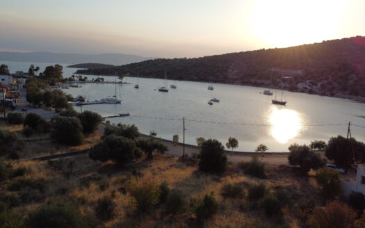 Πωλείται Παραθαλάσσιο Οικόπεδο 1841 Τ.Μ. Στο Πόρτο Μπούφαλο Δυστίων Ευβοίας