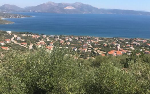 Πωλείται Παραθαλάσσιο Οικόπεδο 855 Τ.Μ. Στην Ακτή Νηρέως Ταμυναίων Ευβοίας