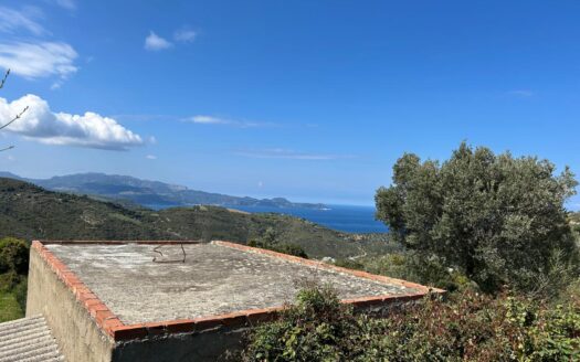 Πωλείται Οικόπεδο 3828 Τ.Μ. Στην Οκτωνιά Αυλώνος Ευβοίας