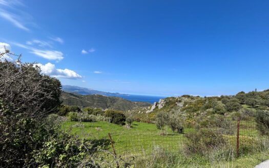 Πωλείται Οικόπεδο 3828 Τ.Μ. Στην Οκτωνιά Αυλώνος Ευβοίας
