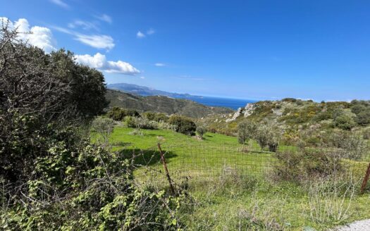 Πωλείται Οικόπεδο 3828 Τ.Μ. Στην Οκτωνιά Αυλώνος Ευβοίας