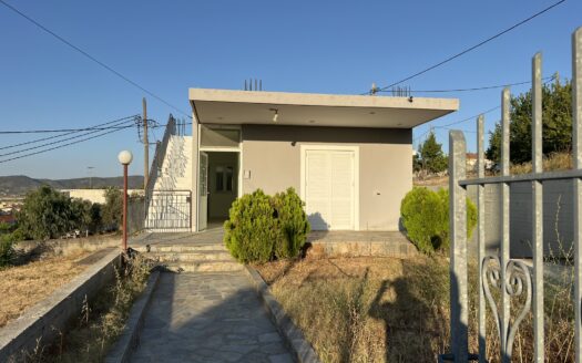 Πωλείται Μονοκατοικία 120 Τ.Μ. Σε Οικόπεδο 365 Τ.Μ. Στο Βέλος Δυστίων Ευβοίας