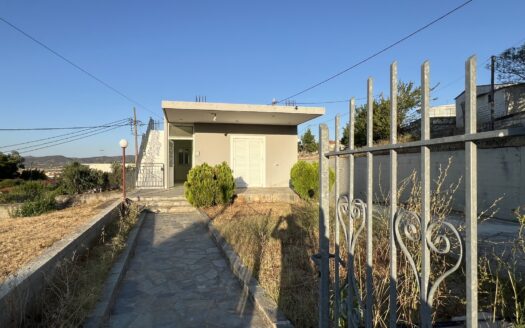 Πωλείται Μονοκατοικία 120 Τ.Μ. Σε Οικόπεδο 365 Τ.Μ. Στο Βέλος Δυστίων Ευβοίας