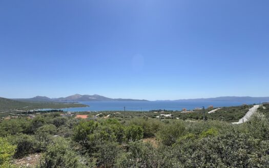 Πωλέιται Παραθαλάσσιο Οικόπεδο 604 T.M. Στον Οικισμό ΟΣΜΑΝ Ταμυναίων Ευβοίας