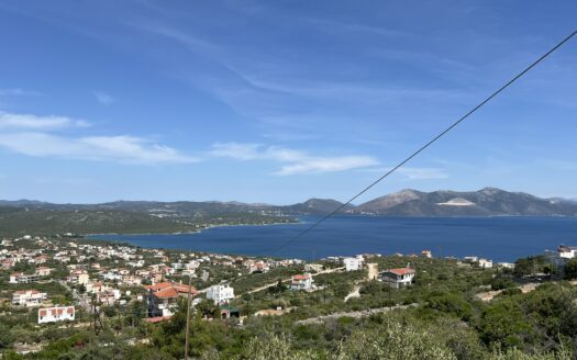 Πωλείται Παραθαλάσσιο Οικόπεδο 763 Τ.Μ. Στην Ακτή Νηρέως Ταμυναίων Ευβοίας