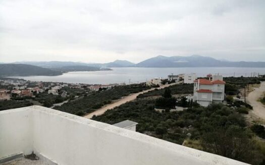 Πωλείται Διπλοκατοικία 200 τ.μ. σε Οικόπεδο 800 τ.μ. Στην Ακτή Νηρέως, Ταμυνέων Ευβοίας