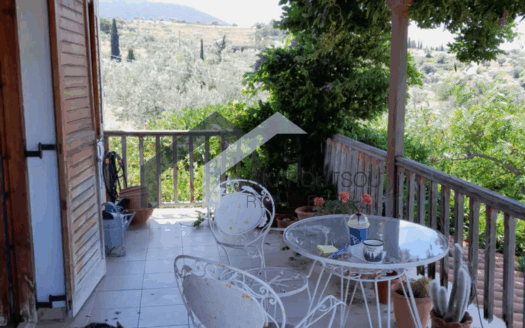 Πωλείται Μονοκατοικία Δύο Επιπέδων 105 Τ.Μ. Σε οικόπεδο 3800 Τ.Μ. Στο Βέλος Δυστίων Ευβοίας