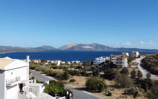 Πωλείται Παραθαλάσσιο Οικόπεδο 1000 Τ.Μ. Στην Ακτή Νηρέως Ταμυναίων Ευβοία