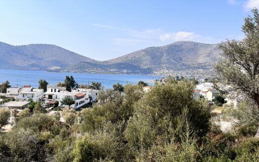 Πωλείται Παραθαλάσσιο Οικόπεδο 1050 Τ.Μ. Στη Παραλία Αλμυροποτάμου-Παναγιά Στυραίων Ευβοίας