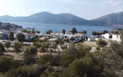 Πωλείται Παραθαλάσσιο Οικόπεδο 1050 Τ.Μ. Στη Παραλία Αλμυροποτάμου-Παναγιά Στυραίων Ευβοίας