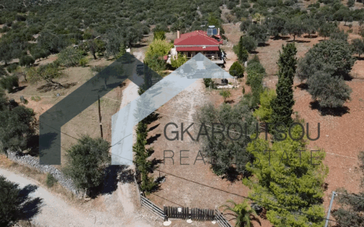 Πωλείται Μονοκατοικία 120 Τ.Μ. Σε Οικόπεδο 3000 Τ.Μ. Στον Άγιο Ιωάννη Ταμυναίων Ευβοίας