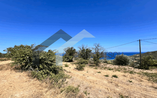 Πωλείται Οικόπεδο 519 Τ.Μ. Στον Οξύλιθο Κύμης Ευβοίας