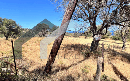 Πωλείται Οικόπεδο 519 Τ.Μ. Στον Οξύλιθο Κύμης Ευβοίας