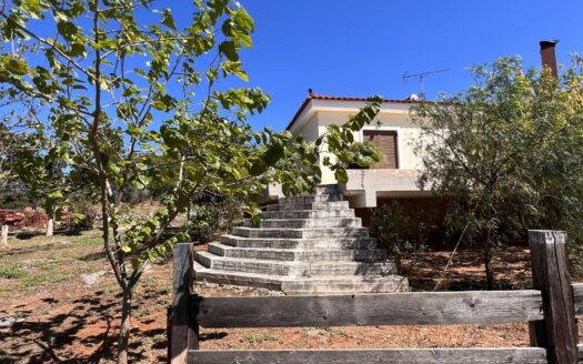 Πωλείται Μονοκατοικία 120 Τ.Μ. Σε Οικόπεδο 3000 Τ.Μ. Στον Άγιο Ιωάννη Ταμυναίων Ευβοίας