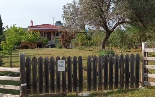 Πωλείται Μονοκατοικία 120 Τ.Μ. Σε Οικόπεδο 3000 Τ.Μ. Στον Άγιο Ιωάννη Ταμυναίων Ευβοίας