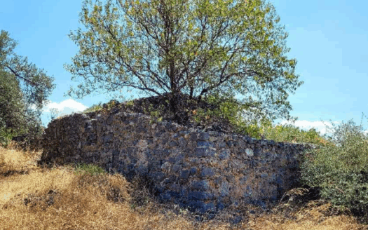 Πωλείται Πέτρινη Κατοικία 78 Τ.Μ. Σε Οικόπεδο 4257 Τ.Μ. Στον Άγιο Ιωάννη Ταμυναίων Ευβοίας
