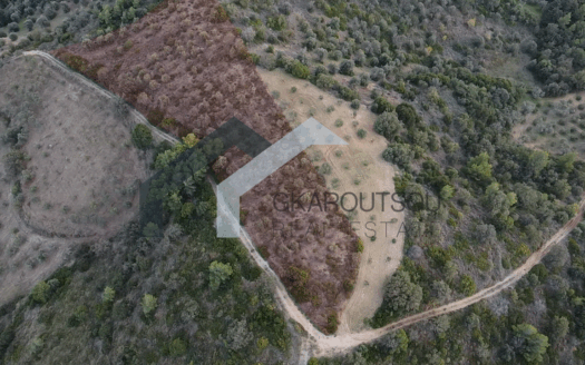 Πωλέιται Οικόπεδο 7357 Τ.Μ. Με 150 Ελαιόδεντρα Στην Αγία Θέκλα Αυλώνος Ευβοίας
