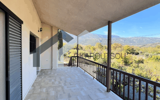 Πωλείται Μονοκατοικία 163 Τ.Μ. Σε Οικόπεδο 1.000 Τ.Μ. Στο Μονόδρι Κονιστρών, Εύβοια.