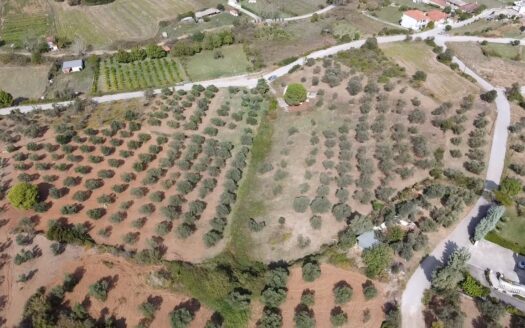 Πωλείται Οικόπεδο 5.845 τ.μ. στο Νεοχώρι Αυλώνος, Εύβοια