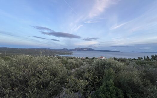 Πωλείται Παραθαλάσσιο Οικόπεδο 627 τ.μ. στον Οικισμό ΟΣΜΑΝ Ταμυναίων Ευβοίας