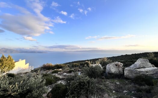 Πωλείται Παραθαλάσσιο Οικόπεδο 914 τ.μ. στην Ακτή Νηρέως Ταμυναίων Ευβοίας