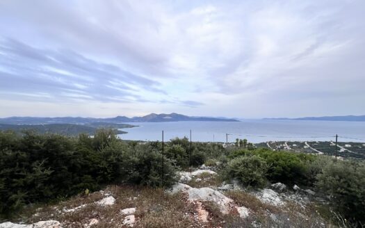 Πωλείται Οικόπεδο 759 τ.μ. με Θέα Θάλασσα στην Ακτή Νηρέως Ταμυναίων Ευβοίας
