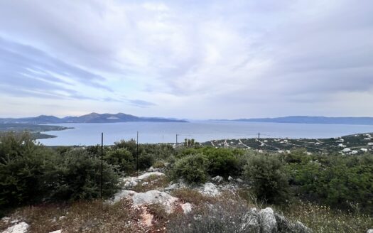 Πωλείται Οικόπεδο 759 τ.μ. με Θέα Θάλασσα στην Ακτή Νηρέως Ταμυναίων Ευβοίας