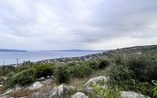Πωλείται Οικόπεδο 759 τ.μ. με Θέα Θάλασσα στην Ακτή Νηρέως Ταμυναίων Ευβοίας