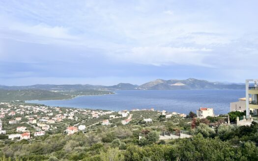 Πωλείται Παραθαλάσσιο Οικόπεδο 809 τ.μ. με Θέα Θάλασσα στην Ακτή Νηρέως Ταμυναίων Ευβοίας