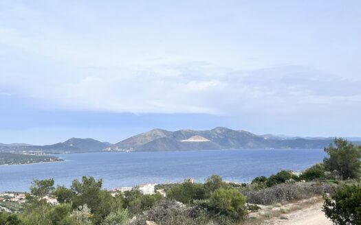 Πωλείται Παραθαλάσσιο Οικόπεδο 826 τ.μ. με Θέα Θάλασσα στην Ακτή Νηρέως Ταμυναίων Ευβοίας