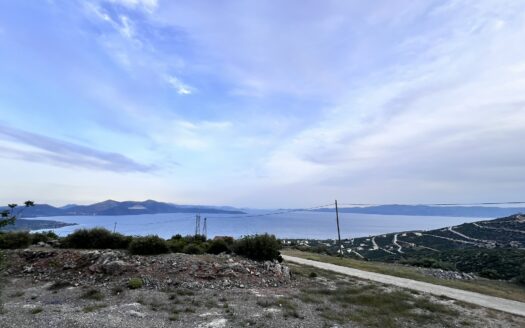 Πωλείται Οικόπεδο 746 τ.μ. με Θέα Θάλασσα στην Ακτή Νηρέως Ταμυναίων Ευβοίας