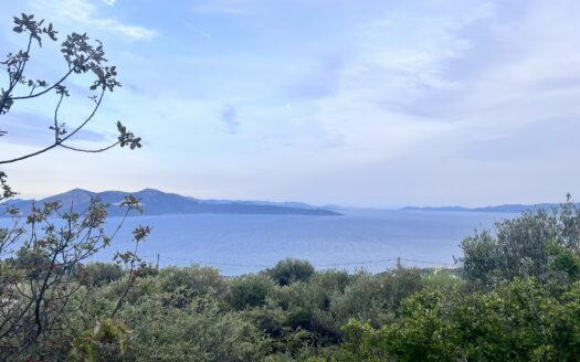 Πωλείται Παραθαλάσσιο Οικόπεδο 842 τ.μ. με Θέα Θάλασσα στην Ακτή Νηρέως Ταμυναίων Ευβοίας
