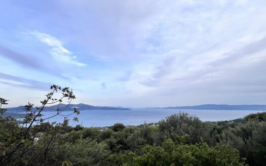 Πωλείται Παραθαλάσσιο Οικόπεδο 842 τ.μ. με Θέα Θάλασσα στην Ακτή Νηρέως Ταμυναίων Ευβοίας