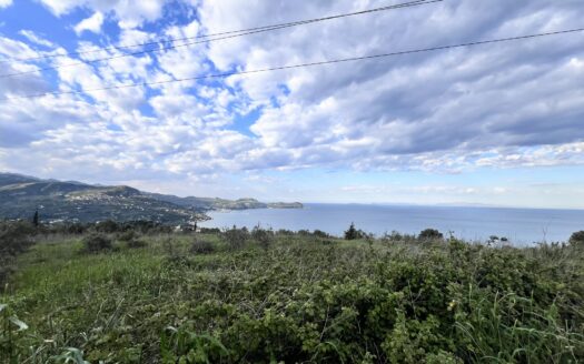 Πωλείται Οικόπεδο 3.600 τ.μ. με Πανοραμική Θέα Θάλασσα στην Παραλία Οξυλίθου Κύμης Ευβοίας