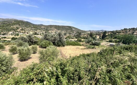 Πωλείται Οικόπεδο 892 τ.μ. στον Λοφίσκο Αυλώνος Ευβοίας