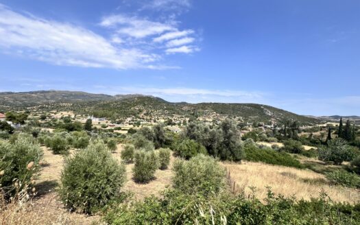 Πωλείται Οικόπεδο 892 τ.μ. στον Λοφίσκο Αυλώνος Ευβοίας