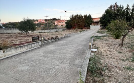 Πωλείται Κατοικία 235 τ.μ. με Δύο Ανεξάρτητους Χώρους Κατοικίας σε Οικόπεδο 1.800 τ.μ. στον Δύστο Ευβοίας